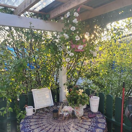 Shannon Estuary Glamping Effernan Ngoại thất bức ảnh