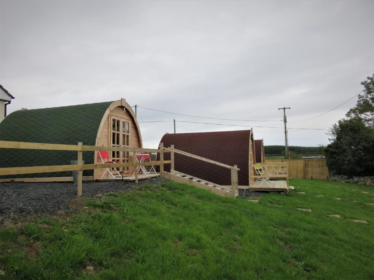 Shannon Estuary Glamping Effernan Ngoại thất bức ảnh