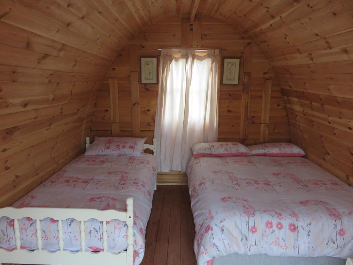 Shannon Estuary Glamping Effernan Ngoại thất bức ảnh
