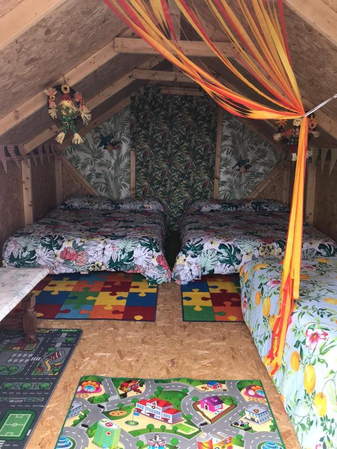 Shannon Estuary Glamping Effernan Ngoại thất bức ảnh