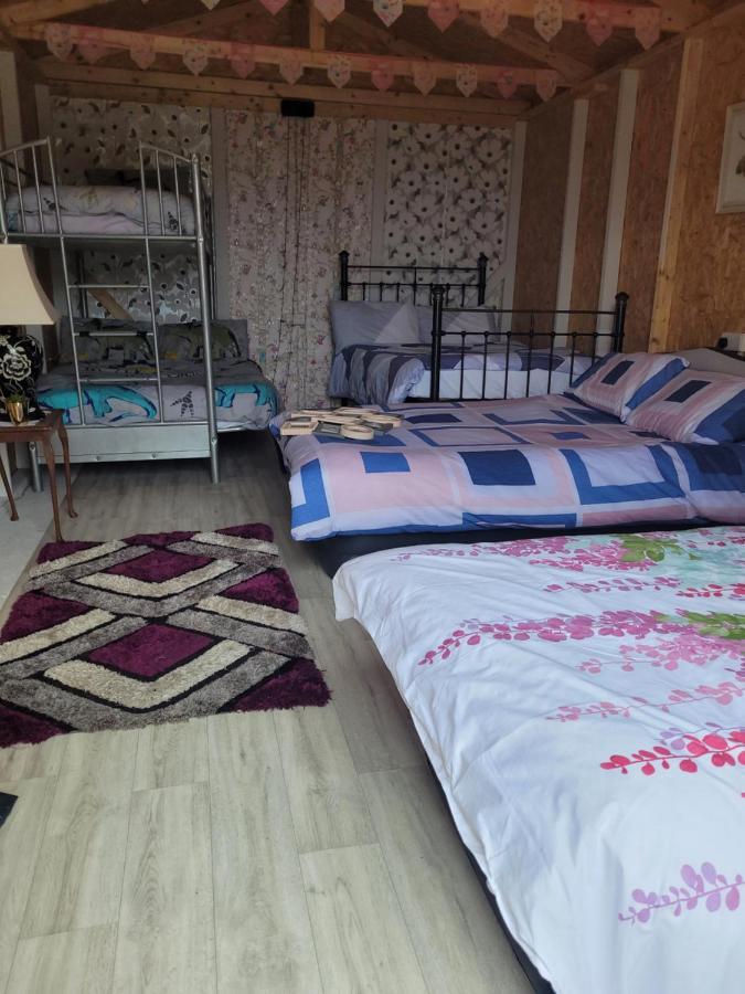 Shannon Estuary Glamping Effernan Ngoại thất bức ảnh