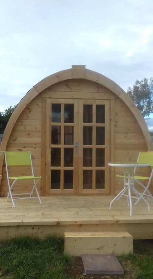 Shannon Estuary Glamping Effernan Ngoại thất bức ảnh
