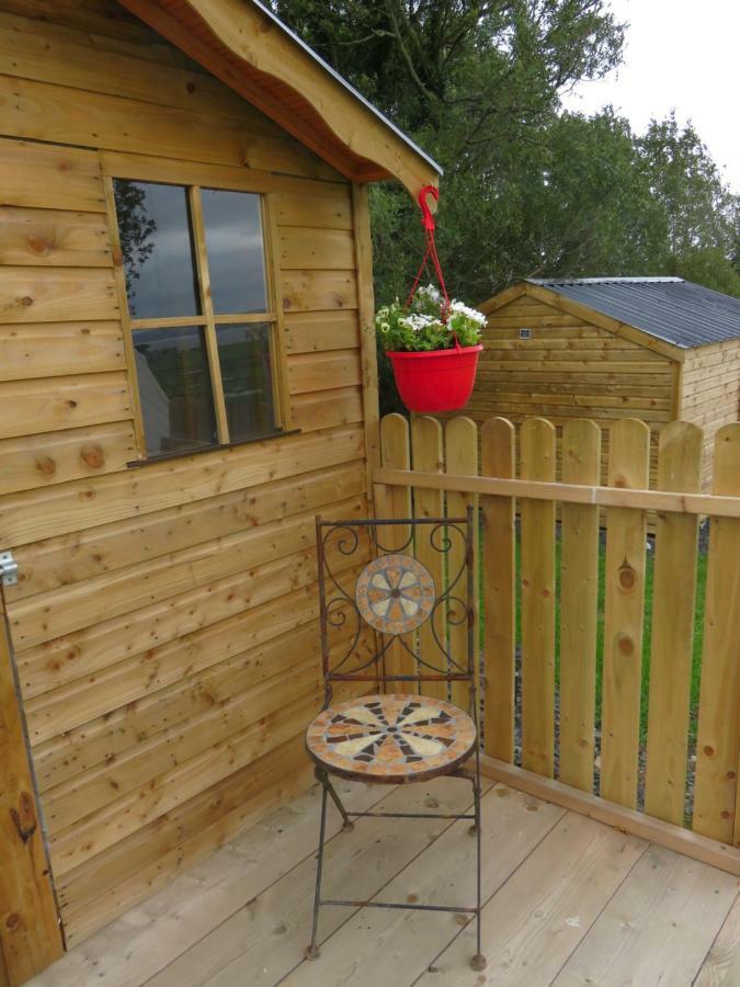Shannon Estuary Glamping Effernan Ngoại thất bức ảnh