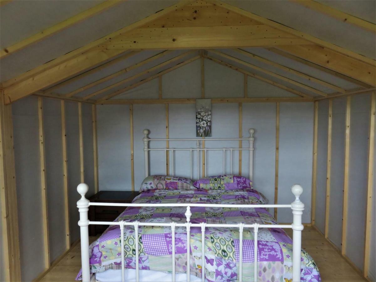 Shannon Estuary Glamping Effernan Ngoại thất bức ảnh