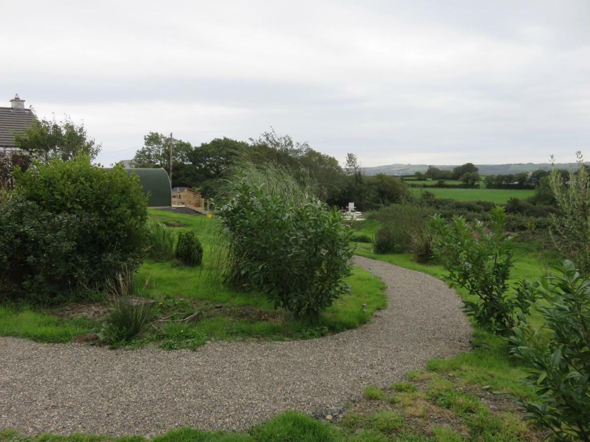 Shannon Estuary Glamping Effernan Ngoại thất bức ảnh
