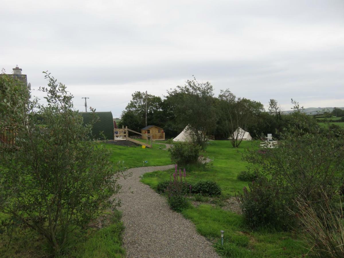 Shannon Estuary Glamping Effernan Ngoại thất bức ảnh