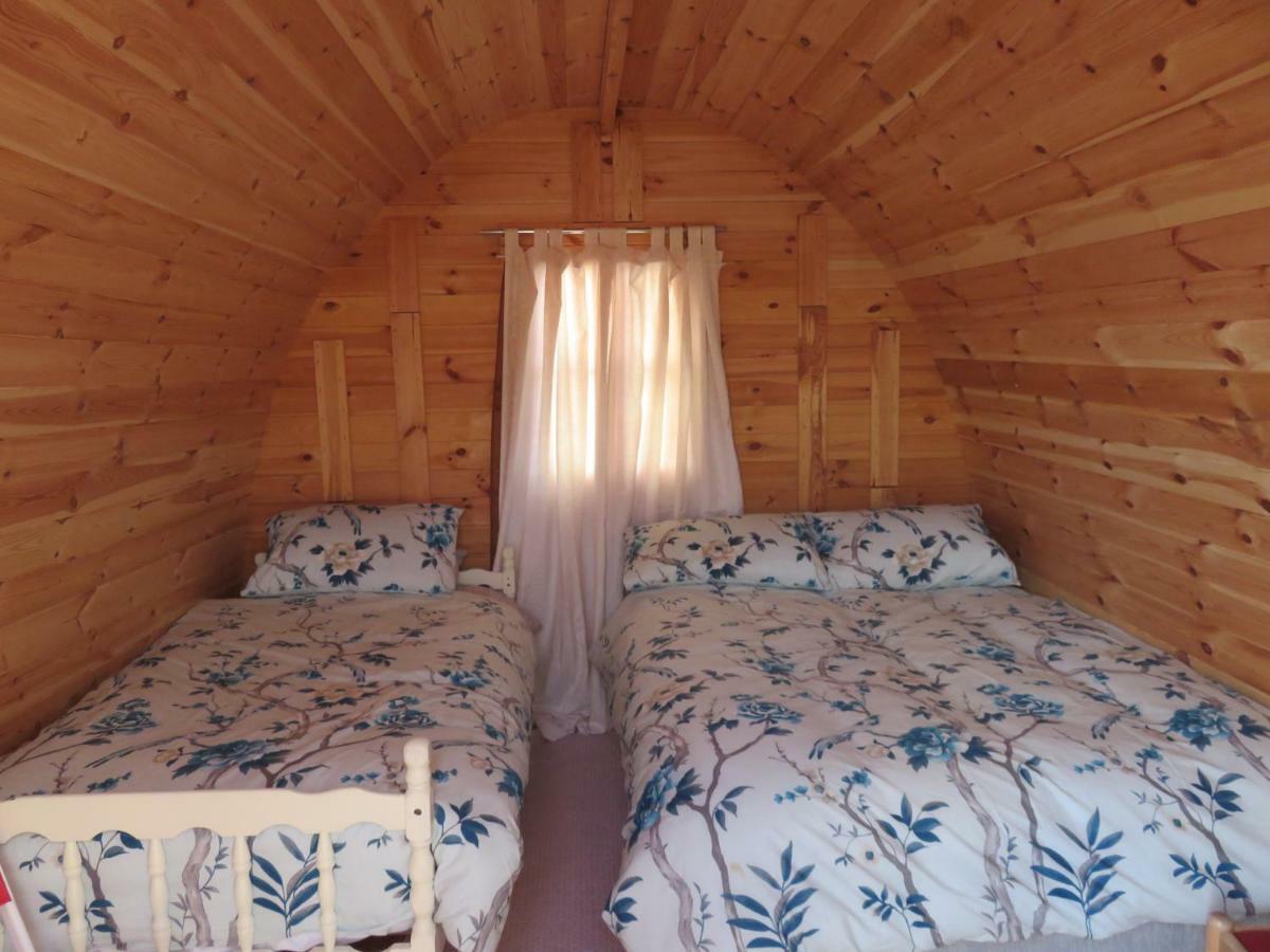 Shannon Estuary Glamping Effernan Ngoại thất bức ảnh