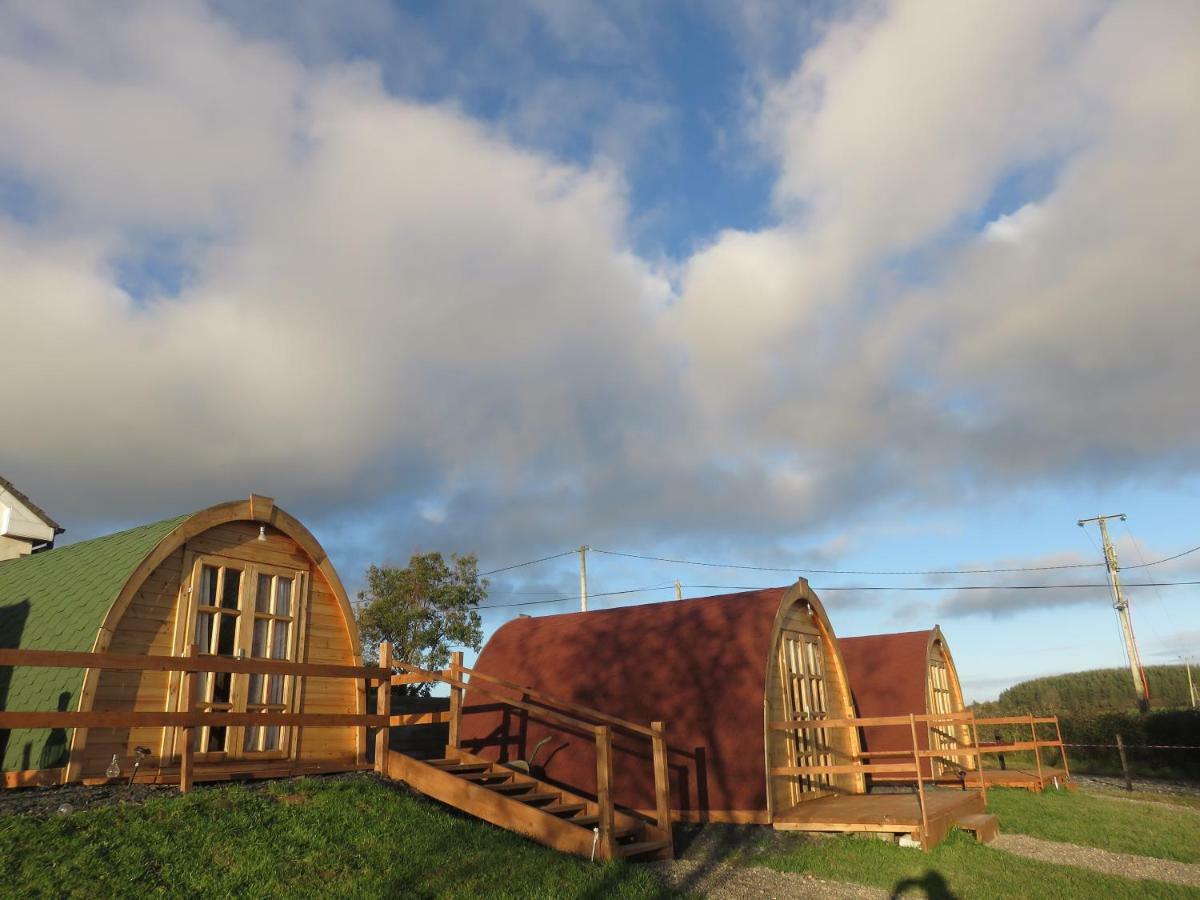 Shannon Estuary Glamping Effernan Ngoại thất bức ảnh
