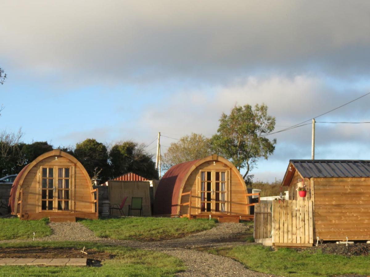 Shannon Estuary Glamping Effernan Ngoại thất bức ảnh