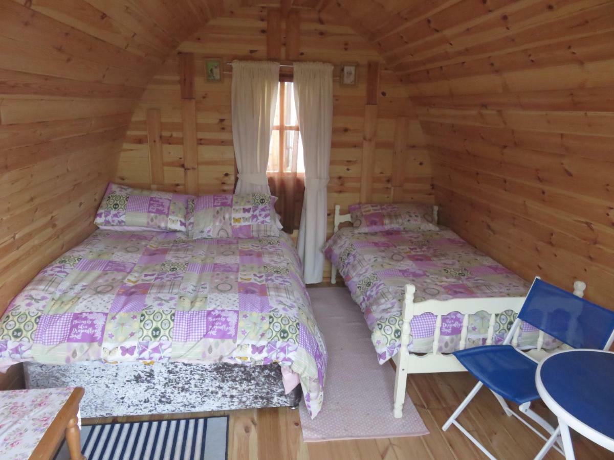 Shannon Estuary Glamping Effernan Ngoại thất bức ảnh