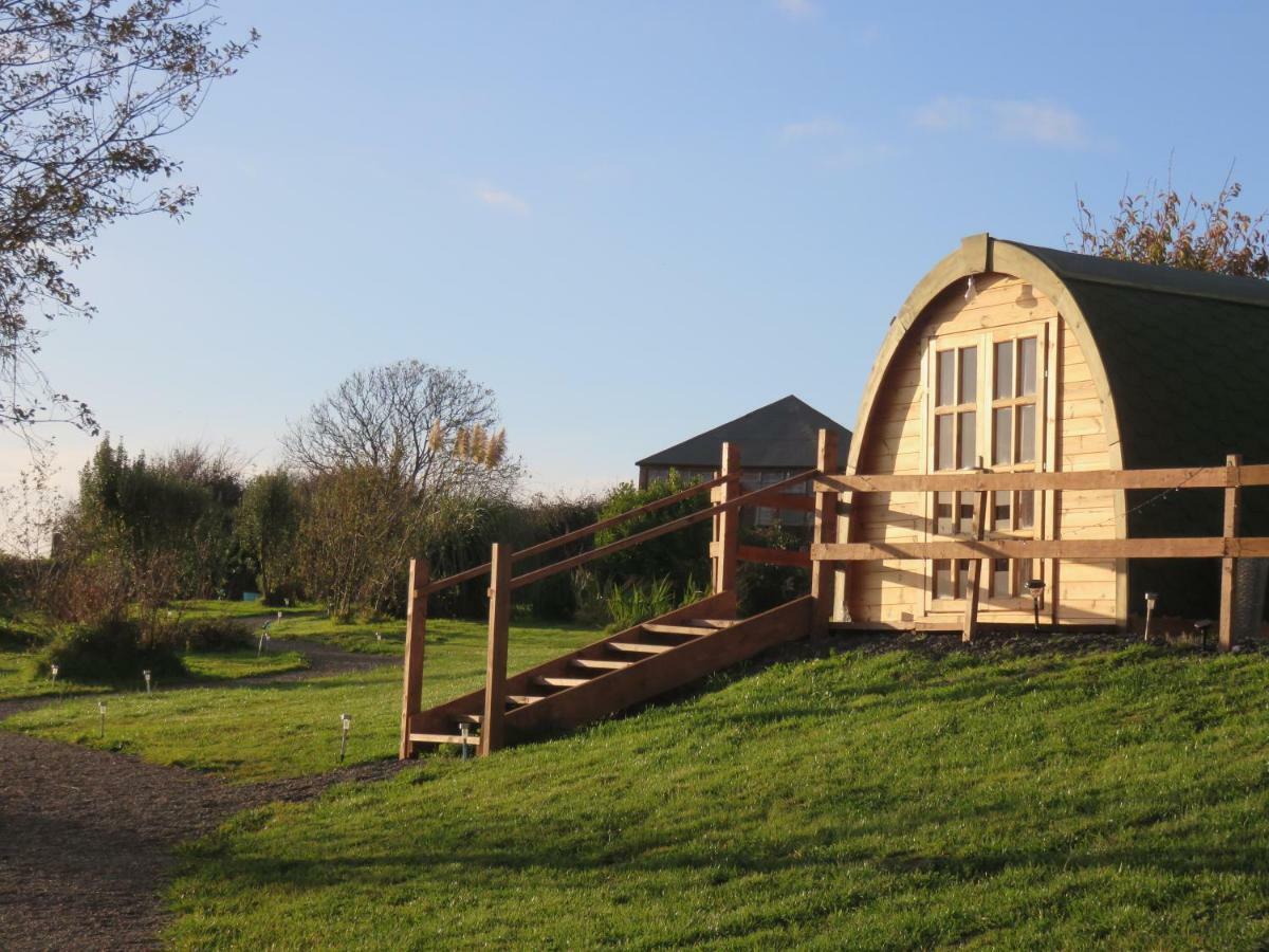Shannon Estuary Glamping Effernan Ngoại thất bức ảnh